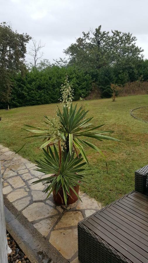 La Belle Chaumiere Bed & Breakfast Bretagne-de-Marsan Exterior foto